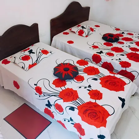 Pleasure Mount Homestay Ella Extérieur photo