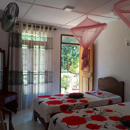 Pleasure Mount Homestay Ella Extérieur photo