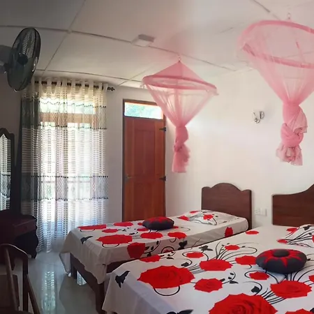 Pleasure Mount Homestay Ella Extérieur photo